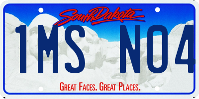 SD license plate 1MSN04
