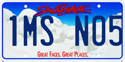 SD license plate 1MSN05