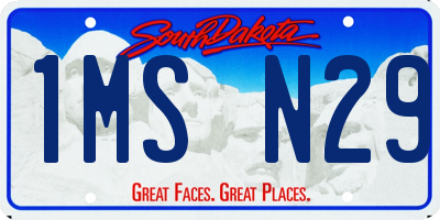 SD license plate 1MSN29