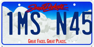 SD license plate 1MSN45