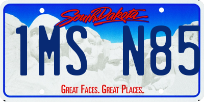 SD license plate 1MSN85