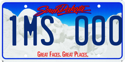 SD license plate 1MSO00