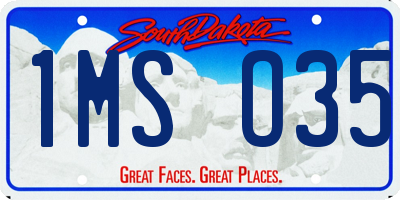 SD license plate 1MSO35