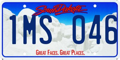 SD license plate 1MSO46