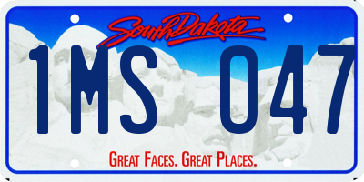 SD license plate 1MSO47