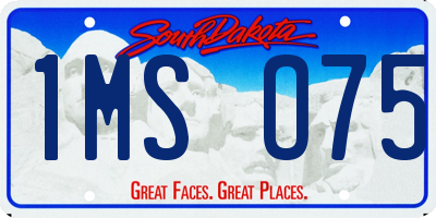 SD license plate 1MSO75