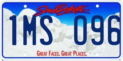 SD license plate 1MSO96