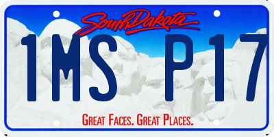SD license plate 1MSP17