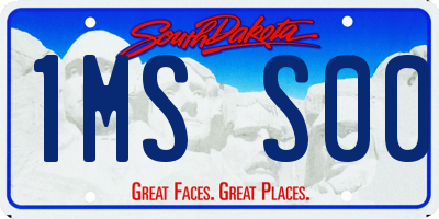 SD license plate 1MSS00