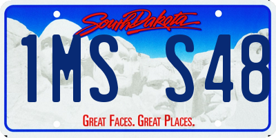 SD license plate 1MSS48