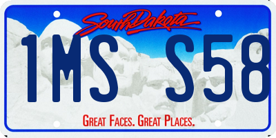 SD license plate 1MSS58