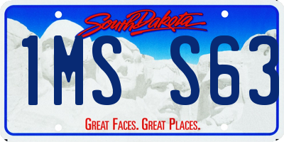 SD license plate 1MSS63