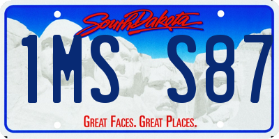 SD license plate 1MSS87
