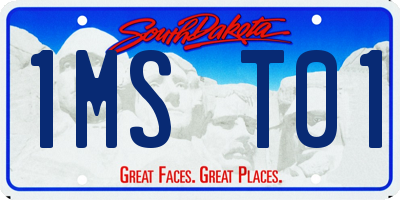 SD license plate 1MST01