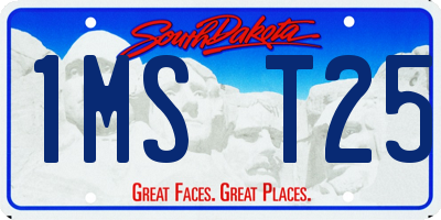 SD license plate 1MST25