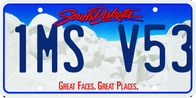 SD license plate 1MSV53