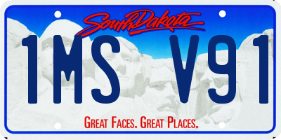 SD license plate 1MSV91