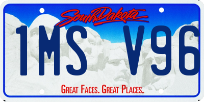 SD license plate 1MSV96
