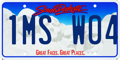SD license plate 1MSW04
