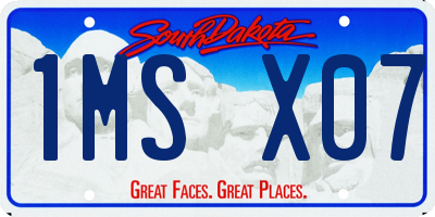 SD license plate 1MSX07