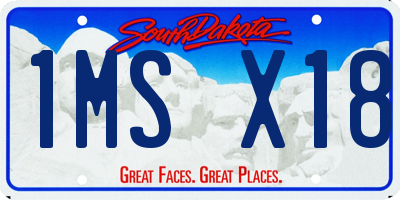 SD license plate 1MSX18