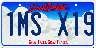 SD license plate 1MSX19