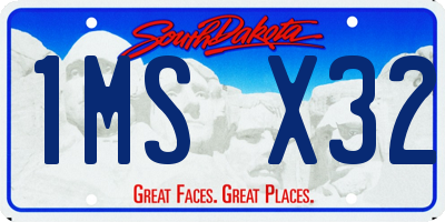 SD license plate 1MSX32