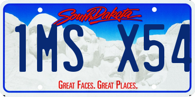 SD license plate 1MSX54