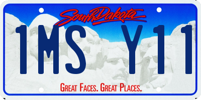 SD license plate 1MSY11