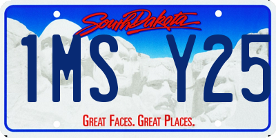 SD license plate 1MSY25