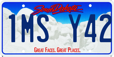 SD license plate 1MSY42