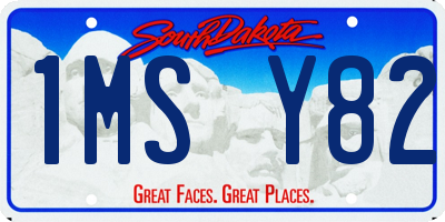 SD license plate 1MSY82