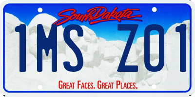 SD license plate 1MSZ01