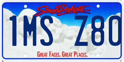 SD license plate 1MSZ80