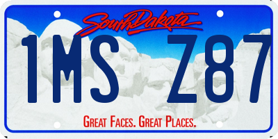 SD license plate 1MSZ87