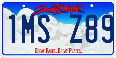 SD license plate 1MSZ89