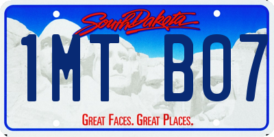 SD license plate 1MTB07