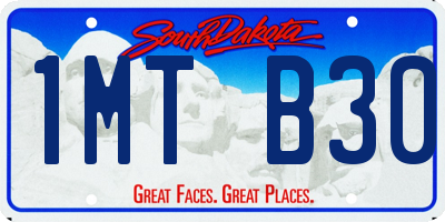 SD license plate 1MTB30