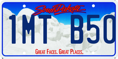 SD license plate 1MTB50