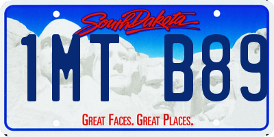 SD license plate 1MTB89