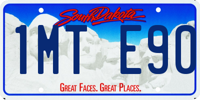 SD license plate 1MTE90