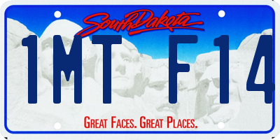 SD license plate 1MTF14