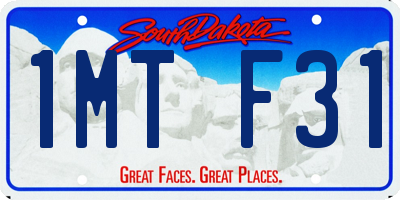 SD license plate 1MTF31