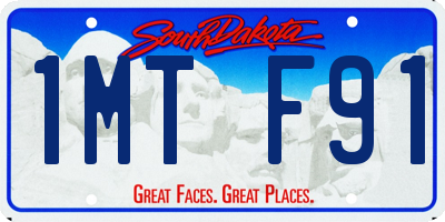 SD license plate 1MTF91