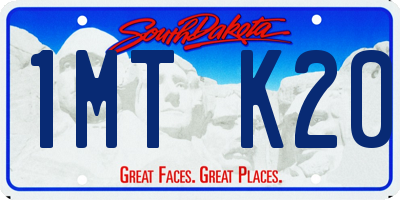 SD license plate 1MTK20