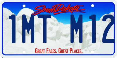SD license plate 1MTM12