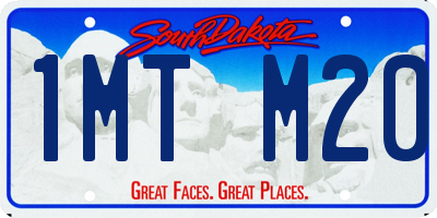 SD license plate 1MTM20