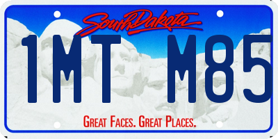 SD license plate 1MTM85