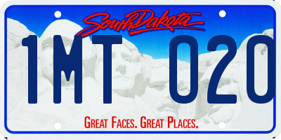 SD license plate 1MTO20