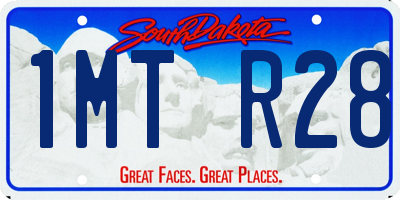 SD license plate 1MTR28